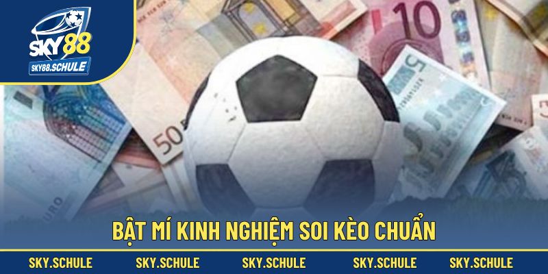 Mẹo săn thưởng hữu ích nhất