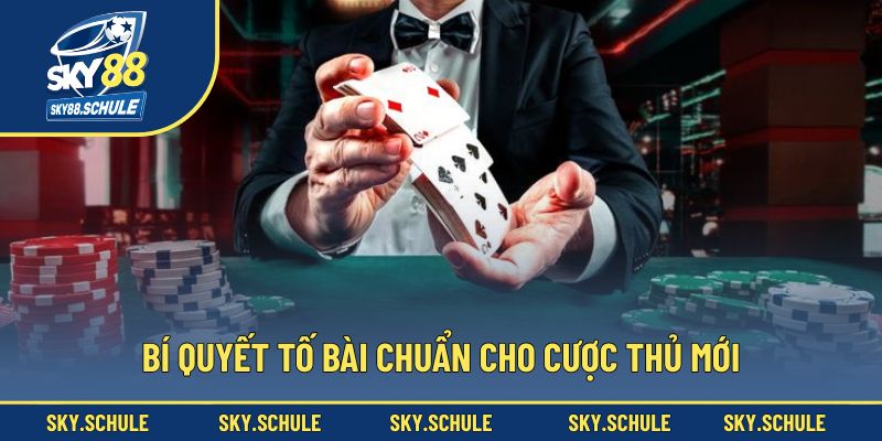 Bí quyết tố bài chuẩn cho cược thủ mới