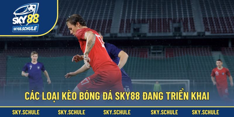 Các loại kèo bóng đá Sky88 đang triển khai Các loại kèo bóng đá Sky88 đang triển khai