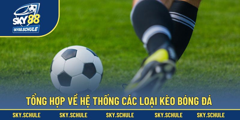 Tổng hợp về hệ thống các loại kèo bóng đá Tổng hợp về hệ thống các loại kèo bóng đá