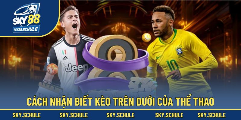 Mẹo nhận biết kèo trên dưới dành cho cược thủ thể thao