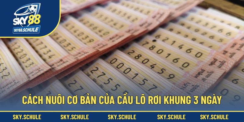 Cách nuôi cơ bản của cầu lô rơi khung 3 ngày
