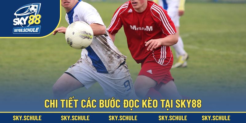 Chi tiết các bước đọc kèo tại Sky88 Chi tiết các bước đọc kèo tại Sky88