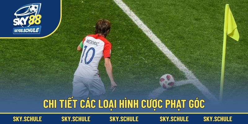 Chi tiết các loại hình cược phạt góc cho hội viên Chi tiết các loại hình cược phạt góc cho hội viên