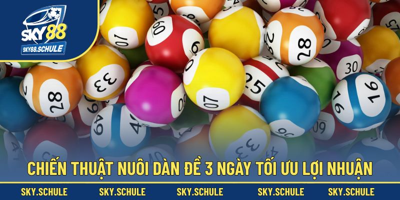 Chiến thuật nuôi dàn đề khung 3 ngày giúp tối ưu lợi nhuận