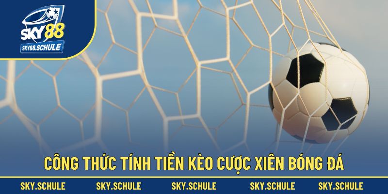 Công thức tính tiền kèo cược xiên bóng đá chi tiết Công thức tính tiền kèo cược xiên bóng đá chi tiết