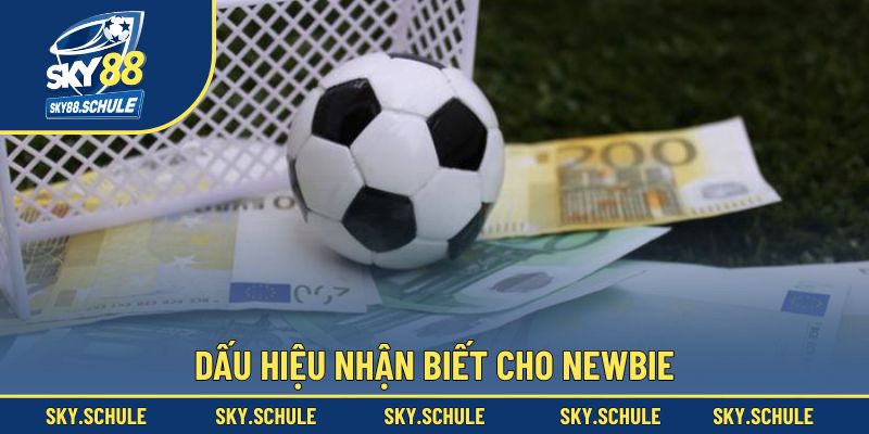 Dấu hiệu nhận biết cho newbie