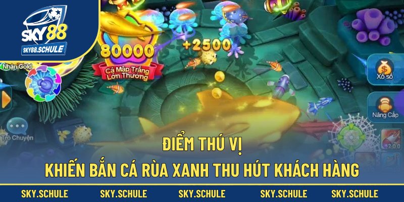 Điểm thú vị khiến bắn cá rùa xanh thu hút khách hàng Điểm thú vị khiến bắn cá rùa xanh thu hút khách hàng