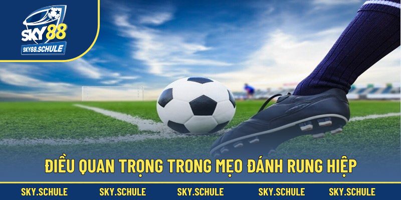 Điều quan trọng để thành công trong kèo rung hiệp Điều quan trọng để thành công trong kèo rung hiệp