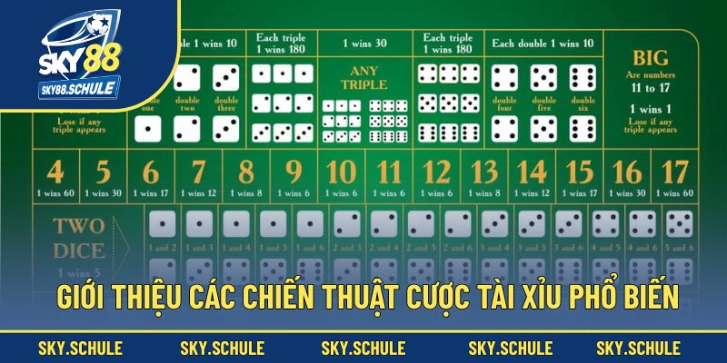 Giới thiệu các chiến thuật cược tài xỉu phổ biến Giới thiệu các chiến thuật cược tài xỉu phổ biến