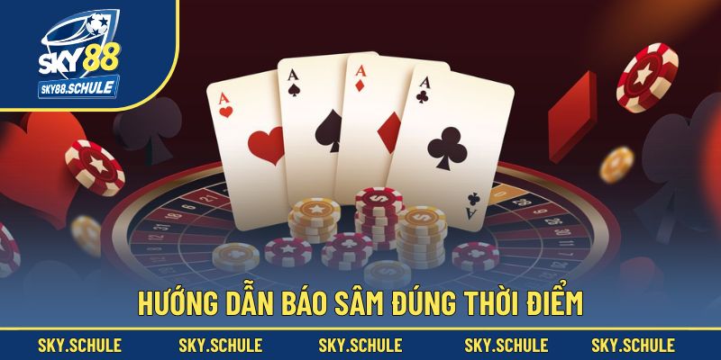 Hướng dẫn báo sâm đúng cách