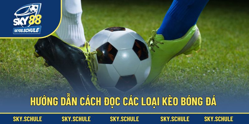 Hướng dẫn cách đọc các loại kèo bóng đá theo cách chuẩn