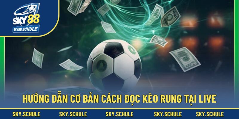 Hướng dẫn cách đọc không khó cho kèo live Hướng dẫn cách đọc không khó cho kèo live
