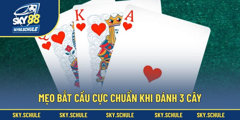 Mẹo bắt cầu cực chuẩn khi đánh 3 cây Mẹo bắt cầu cực chuẩn khi đánh 3 cây