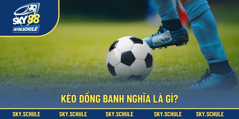 Hiểu đúng hơn về kèo đồng banh Hiểu đúng hơn về kèo đồng banh