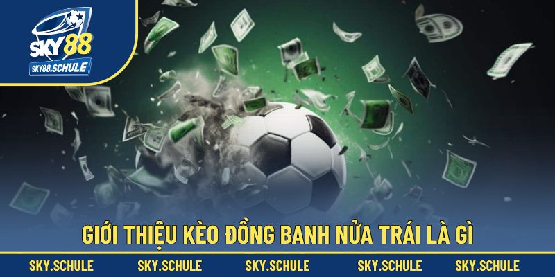 Tổng quan về tỷ lệ kèo đồng banh nửa trái là như thế nào Tổng quan về tỷ lệ kèo đồng banh nửa trái là như thế nào