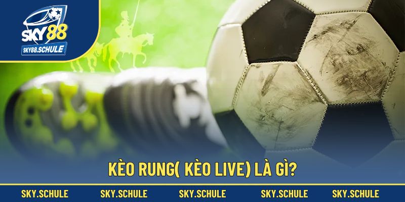Kèo rung là dạng đặt cược khi trực tiếp trận đấu Kèo rung là dạng đặt cược khi trực tiếp trận đấu