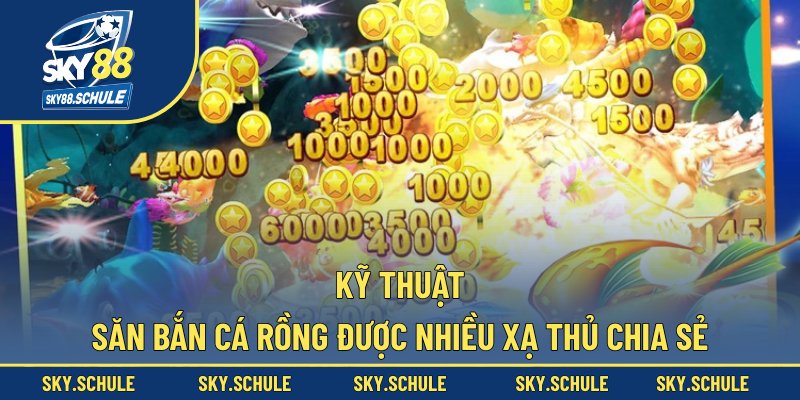 Kỹ thuật săn bắn cá rồng được nhiều xạ thủ chia sẻ