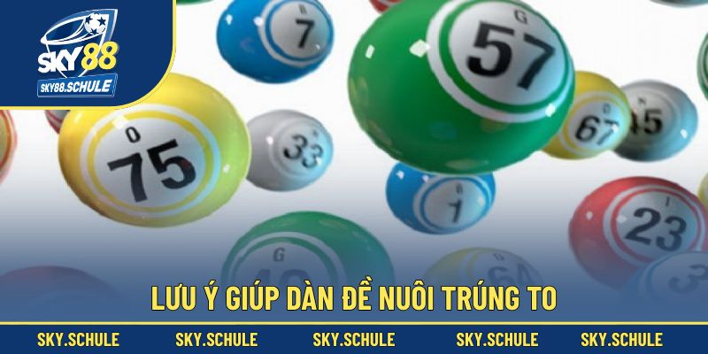 Lưu ý giúp dàn đề nuôi trúng to