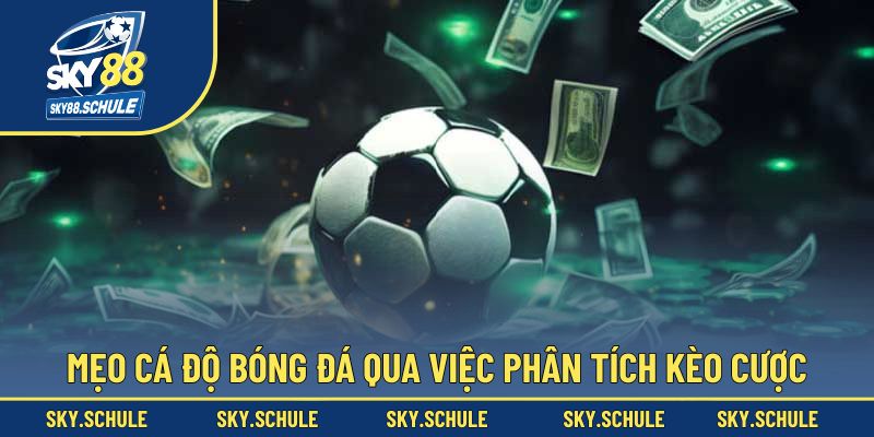 Mẹo cá độ bóng đá qua việc phân tích kèo cược Mẹo cá độ bóng đá qua việc phân tích kèo cược