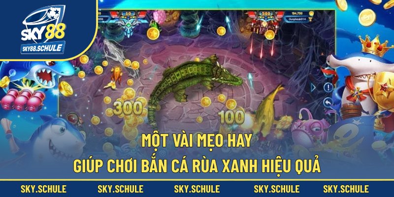 Một vài mẹo hay giúp chơi bắn cá rùa xanh hiệu quả
