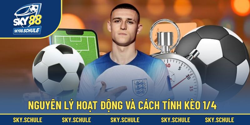 Cách vận hành và quy tắc tính tiền trong kèo chấp 1/4 Cách vận hành và quy tắc tính tiền trong kèo chấp 1/4