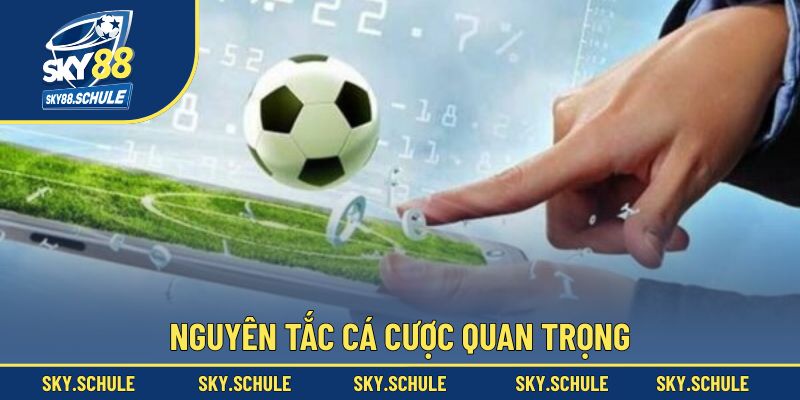 Quy định quan trọng cần tuân thủ