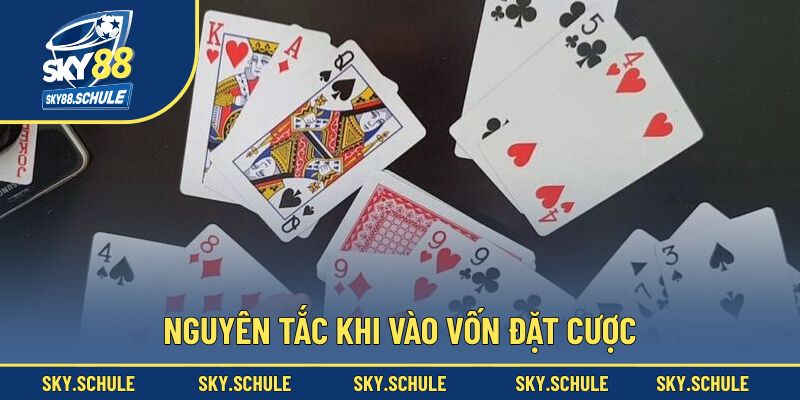 Nguyên tắc khi vào vốn đặt cược Nguyên tắc khi vào vốn đặt cược