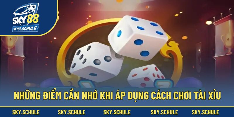 Những điểm cần nhớ khi áp dụng cách chơi tài xỉu
