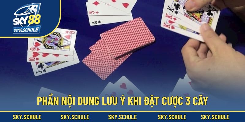 Phần nội dung lưu ý khi đặt cược 3 cây