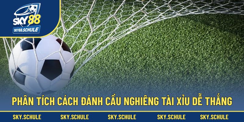 Phân tích để đánh cầu nghiêng tài xỉu dễ thắng Phân tích để đánh cầu nghiêng tài xỉu dễ thắng