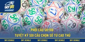 phối cầu