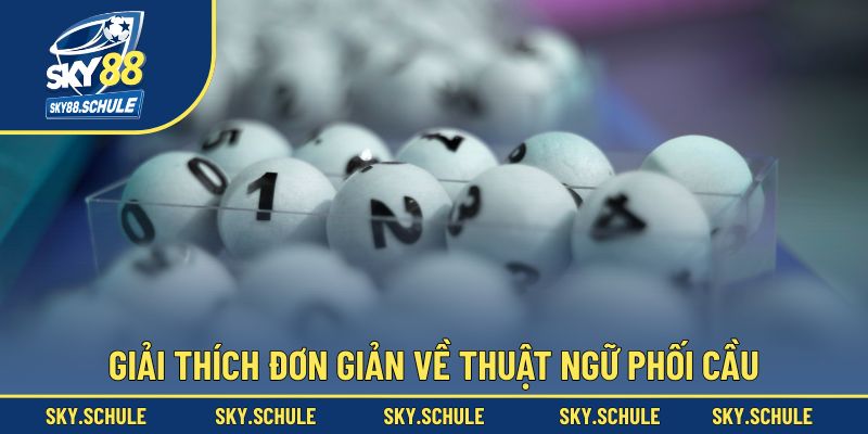 Định nghĩa và giải thích đơn giản về thuật ngữ phối cầu Định nghĩa và giải thích đơn giản về thuật ngữ phối cầu