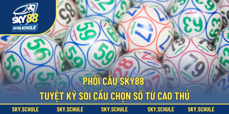 phối cầu