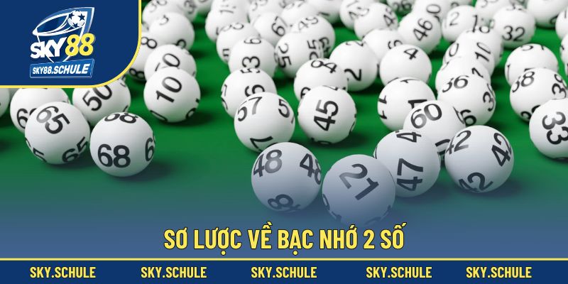 Sơ lược về bạc nhớ 2 số