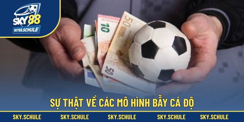 Sự thật về các mô hình bẫy cá độ