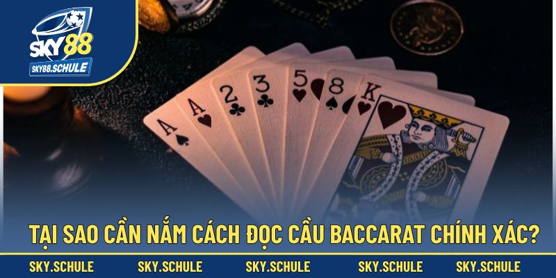 Vì sao nên hiểu rõ cách đọc cầu Baccarat chuẩn xác?