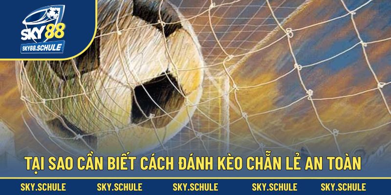 Tại sao nên bỏ túi cách đánh kèo chẵn lẻ an toàn Tại sao nên bỏ túi cách đánh kèo chẵn lẻ an toàn