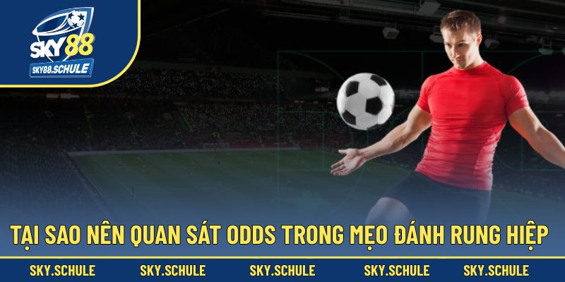 Tại sao người chơi nên quan sát odds để cược Tại sao người chơi nên quan sát odds để cược