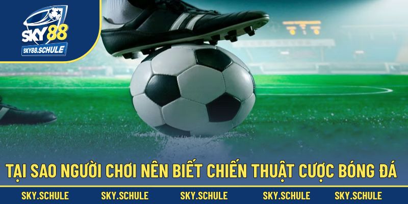 Tại sao người chơi luôn phải bỏ túi chiến thuật Tại sao người chơi luôn phải bỏ túi chiến thuật