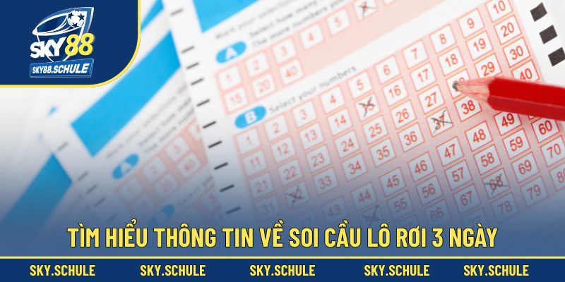 Tìm hiểu thông tin về soi cầu lô rơi 3 ngày