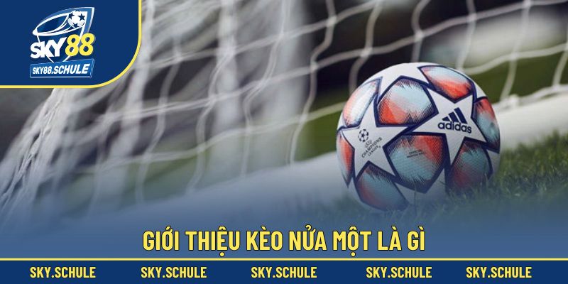 Giới thiệu tỷ lệ kèo nửa một là gì cho tân binh Giới thiệu tỷ lệ kèo nửa một là gì cho tân binh