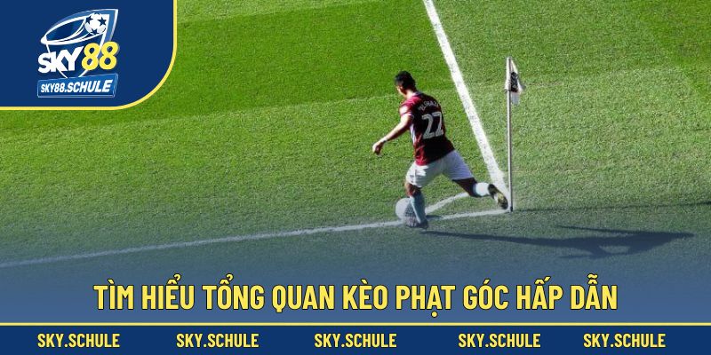 Tìm hiểu tổng quan kèo phạt góc hấp dẫn Tìm hiểu tổng quan kèo phạt góc hấp dẫn