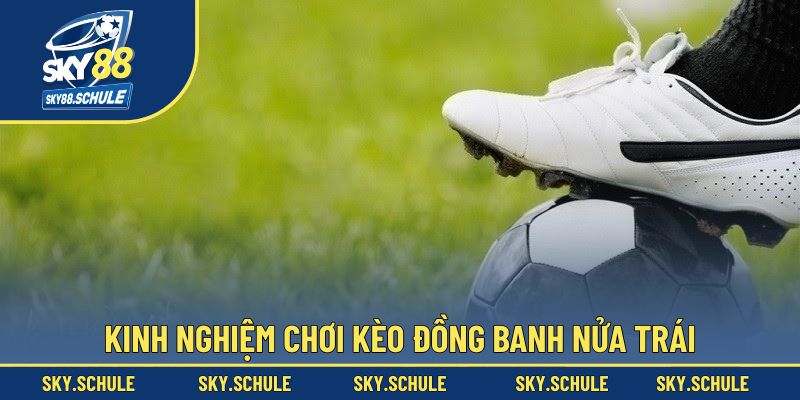 Tips đặt cược đồng banh nửa trái cho tân binh năm 2025