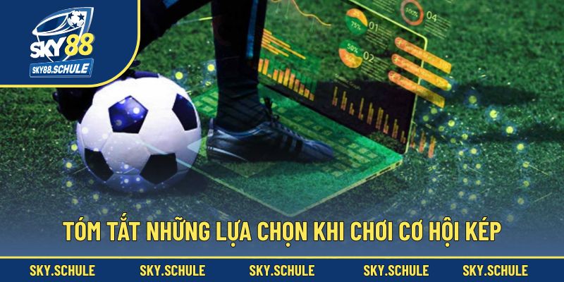 Tóm tắt những lựa chọn khi chơi cơ hội kép Tóm tắt những lựa chọn khi chơi cơ hội kép