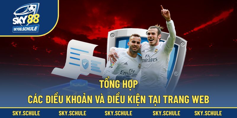 Tổng hợp các điều khoản và điều kiện tại trang web