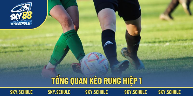 Tổng quan kèo rung hiệp 1 Tổng quan kèo rung hiệp 1