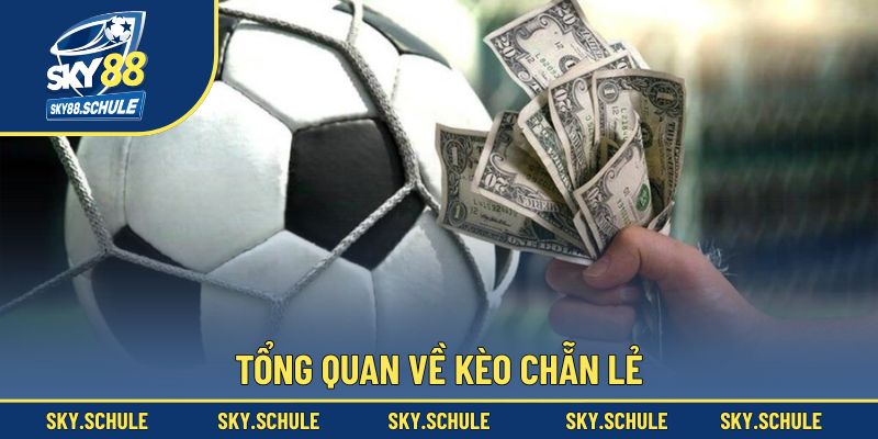 Những nét chính về kèo chẵn lẻ Những nét chính về kèo chẵn lẻ