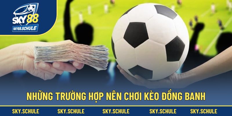 Cẩm nang cá cược đồng banh thắng lớn