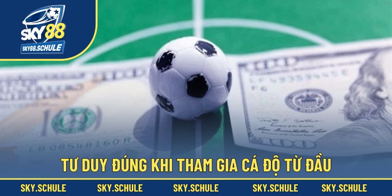 Tư duy đúng khi tham gia cá độ từ đầu Tư duy đúng khi tham gia cá độ từ đầu
